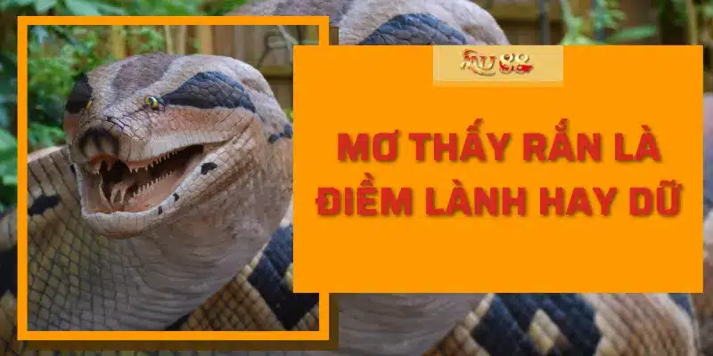 Mơ thấy rắn là điềm lành hay dữ